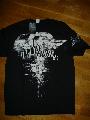 TAPOUT pol  L mretben 7500ft